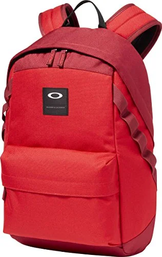 comfortable and breathable school backpack -Backpack with headphone port-Oakley Men'S Holbrook 20L Backpack