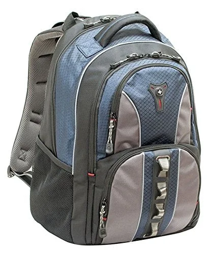 waterproof travel backpack with multiple compartments -Backpack for international travel-Swissgear Cobalt Notebook Carrying Backpack, 15.6" (Ga-7343-06F00)