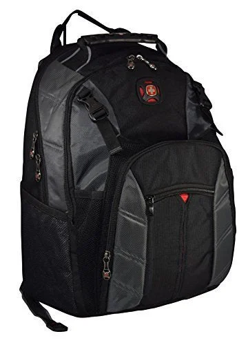 compact backpack with adjustable straps -Anti-theft travel backpack-Swissgear The Sherpa 15.6" Padded Laptop Backpack/School Travel Bag (Black-Charcoal)